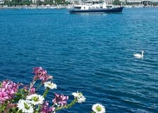 Geneva Boat Tour