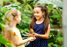 Headout Exclusive: The Butterfly Gardens Abu Dhabi Tickets