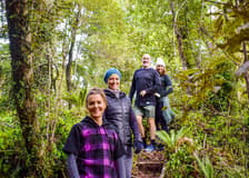 Franz Josef Scenic Cruise & Guided Rainforest Walk