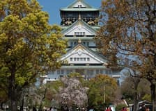 Osaka Castle: Guided Walking Tour