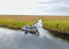 Miami: Sawgrass Recreation Park Airboat Tour with Reptile Exhibit & Optional Transportation