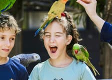 Tickets to Maleny Botanic Gardens and Bird World