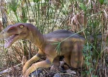 Dinopark Antalya: Entry Ticket