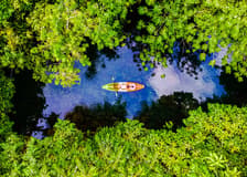 Krabi: Kayak Adventure through Ao Thalane Mangrove Forest