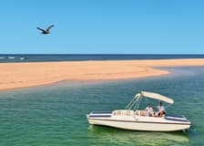 Ria Formosa: Ecological Boat Tour with Bird Watching from Faro