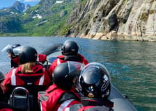From Svolvær: RIB Boat Lofoten Trollfjord & Sea Eagle Safari