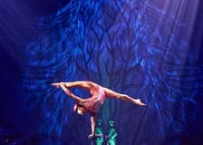 Cirque Du Soleil JOYÀ: Resident Show in Riviera Maya