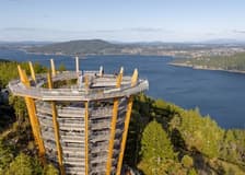 Vancouver Island: Malahat SkyWalk Entry Ticket