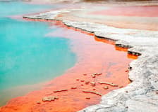 Wai-O-Tapu Thermal Wonderland Tickets