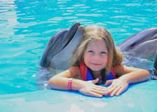 Hurghada Dolphin World Show & Meet-the-Dolphin Photo Experience with Transfers