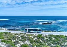 Rottnest Island Guided Bus Tour with Return Ferry
