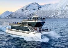 From Tromso: Arctic Fjord Cruise & Wildlife Tour