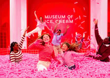 Museum of Ice Cream Boston: Entry Ticket