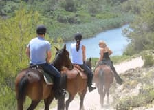 Horse Riding on the Beach in Mallorca