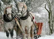 Zakopane & Sleigh Ride with Bonfire: Private Tour from Krakow