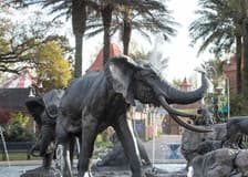 Audubon Zoo: Entry Ticket