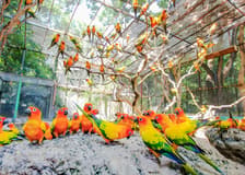 Safari World + Marine Park Tickets with Lunch and Optional Transfers
