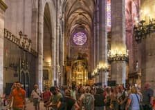 Palma Cathedral & Old Town Guided Tour