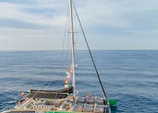 Tenerife: 3-Hour Whale & Dolphin Watching Tour