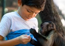 ATV Monkey Jungle Tour