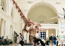 The Field Museum of Natural History: Entry Ticket