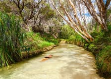 From Rainbow Beach: K'gari (Fraser Island) 1-Day Classic Tour