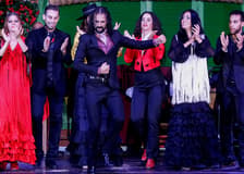 El Palacio Andaluz - Flamenco Show