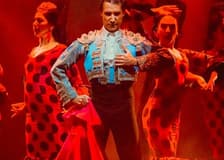 Costa Adeje: Olé Flamenco Show