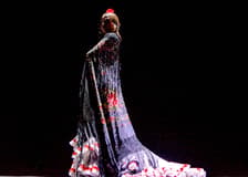 Seville Flamenco Theatre - Passion Show