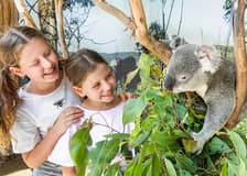 Blue Mountains Tour with Scenic World & Sydney Zoo