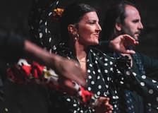 Palau Dalmases - Flamenco Show