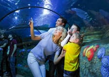 Gardaland Sea Life Aquarium Entry Tickets