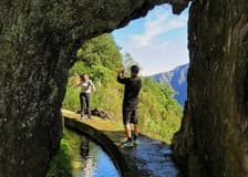 Enchanted Terraces: Guided Madeira Excursion