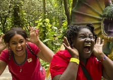 Dinosaur World Florida: Entry Ticket