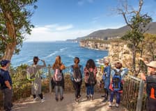 From Hobart: Port Arthur & Lavender Farm Guided Tour

