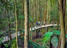 Blue Mountains Scenic World Tickets