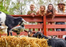Currumbin Wildlife Sanctuary Tickets