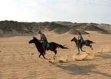 Marsa Alam: Desert and Sea Horseback Adventure