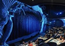 Varuna Underwater Show Tickets