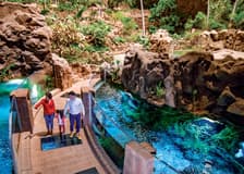 Poema del Mar Aquarium Tickets