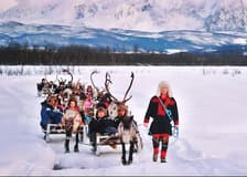 Reindeer Sledding & Sami Culture Guided Tour with Hot Drinks & Meal