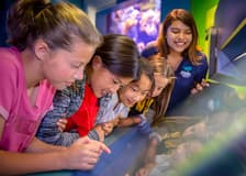 Aquarium of the Pacific Skip-the-Line Tickets