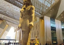 Grand Egyptian Museum: Entry + Optional Guided Tour & Transfer
