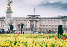 Westminster 3-hour Small-Group Guided Walking Tour & Tower Bridge Entry Tickets