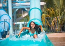 San Franciso All-Inclusive Pass By Go City