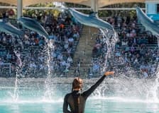 Sea World Single Day Pass Ticket
