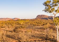 West MacDonnell Ranges: Guided Tour + Roundtrip Transfer + Lunch