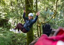 Rotorua Forest Zipline Experience