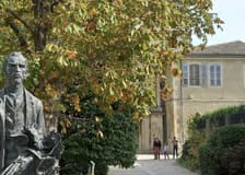 Provence: Arles Guided Van Gogh Tour + Saint-Paul de Mausole Entry