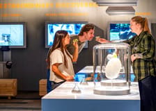Home of Carlsberg Experience Entry Ticket
